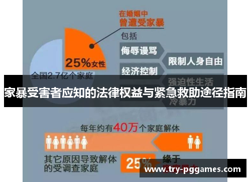 家暴受害者应知的法律权益与紧急救助途径指南