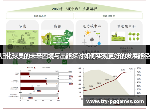 归化球员的未来困境与出路探讨如何实现更好的发展路径