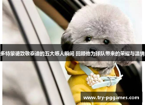 多特蒙德致敬泰迪的五大感人瞬间 回顾他为球队带来的荣耀与温情