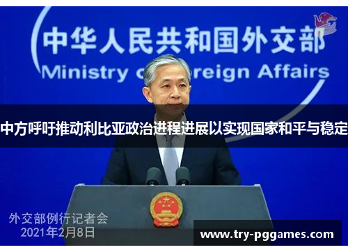 中方呼吁推动利比亚政治进程进展以实现国家和平与稳定