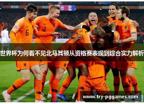 世界杯为何看不见北马其顿从资格赛表现到综合实力解析