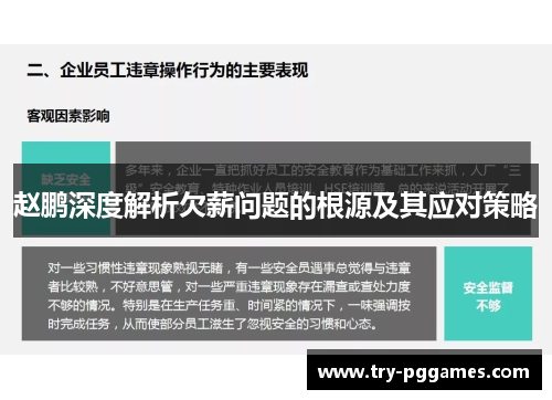 赵鹏深度解析欠薪问题的根源及其应对策略