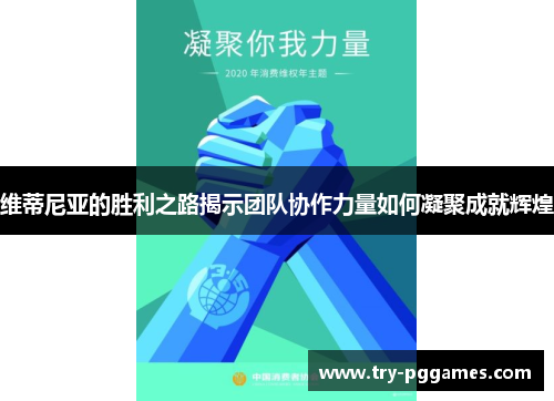 维蒂尼亚的胜利之路揭示团队协作力量如何凝聚成就辉煌