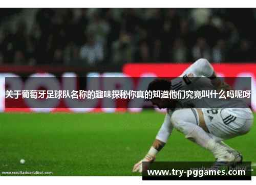 关于葡萄牙足球队名称的趣味探秘你真的知道他们究竟叫什么吗呢呀