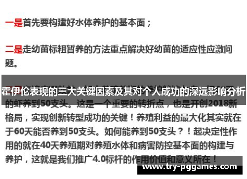 霍伊伦表现的三大关键因素及其对个人成功的深远影响分析