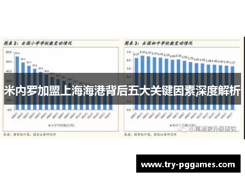 米内罗加盟上海海港背后五大关键因素深度解析